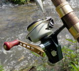 �`�a�t�J�[�f�B�i���R�R