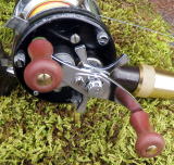 �`�a�t�N���V�b�N